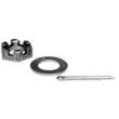 DEXTER MARINE PRODUCTS OF GEORGIA Nut, Washer, Cotter Pin - 81169