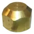 LARSEN SUPPLY Flare Cap 1/2" Brass - 17-4048
