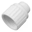 ESCO Cap 3/8"FTG - 06859