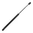 AP PRODUCTS Gas Prop 17.13" Ext Length, 6. - 010-624