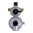 AP PRODUCTS Excela-flo Auto Changeover Reg - MEGR-253P
