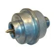 ENERCO GROUP INC LP Gas Filter - F273699